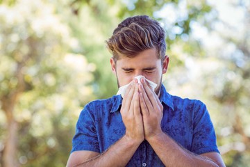 chiropractic care and allergies